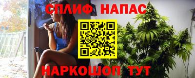 шишки Обь