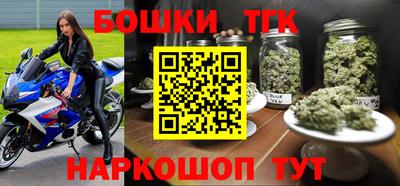 МДПВ Пенза