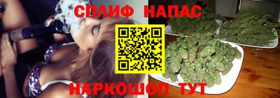 МДПВ Пенза