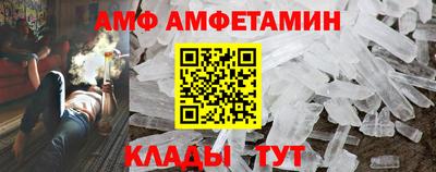 шишки Обь