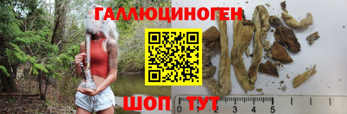 Псилоцибиновые грибы MAGIC MUSHROOMS  Вход с VPN  Галлюциногенные грибы Magic Shrooms  Партизанск 